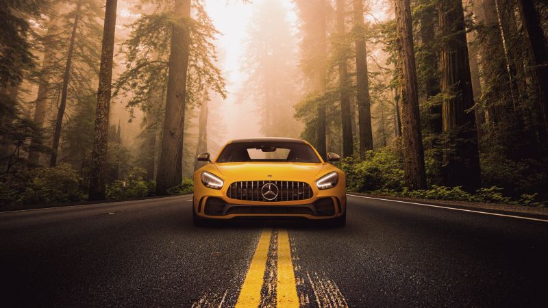 Mercedes-Benz AMG GT R, Sports coupe, Forest, Road, 5K, Wallpaper