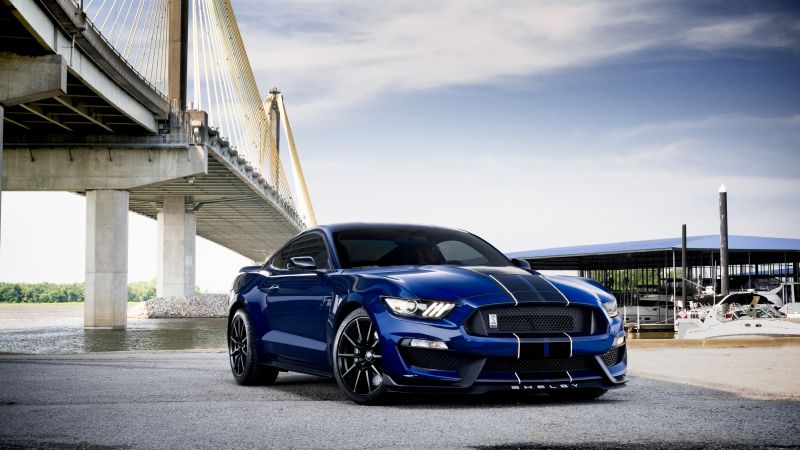Ford Mustang Shelby GT350, 5K, Muscle cars, Wallpaper