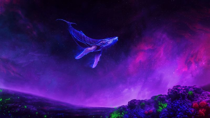 Whale, Surreal, Lucid, Colorful space, Wallpaper