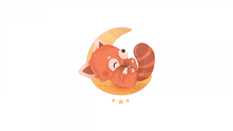 Cute fox cute 
