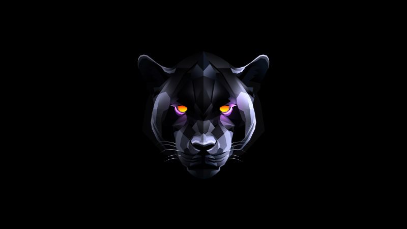 Black Panther, Black background, AMOLED, 5K, Wallpaper
