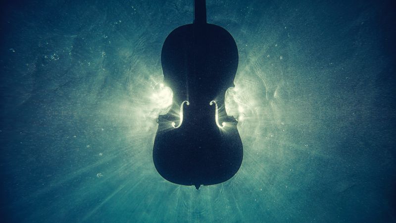 Violin underwater 