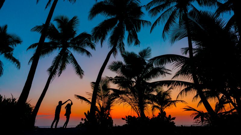 Couple silhouette, Romantic, Sunset, Twilight, Palm trees, Tropical beach, Maldives, Wallpaper