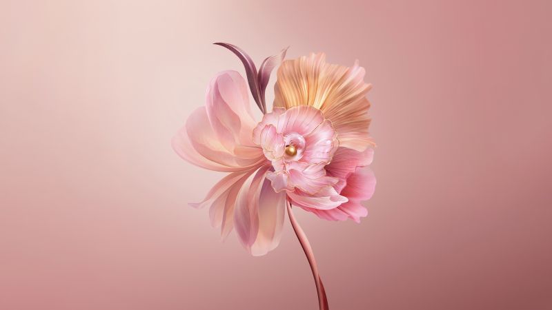 Abstract flower, Pastel red, Floral, Pink, Honor, Stock, Aesthetic