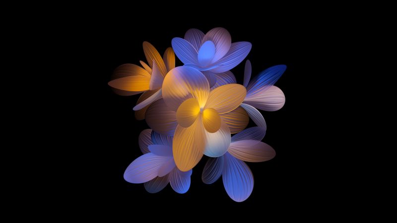 Abstract flower, Floral, 5K, Black background, Honor, Stock, Wallpaper
