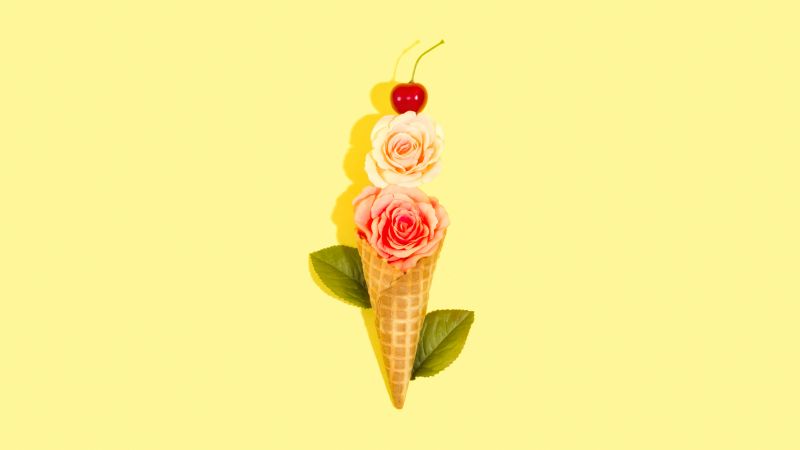 Rose flowers, Ice cream cone, Yellow background, Cherry fruits, Leaves, 5K, Wallpaper