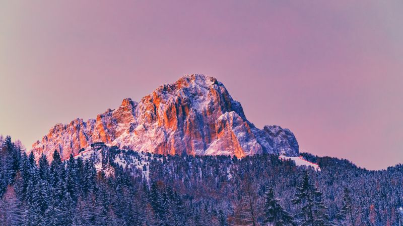 Mountain, Peak, Sunrise, Forest, Winter, Cold, 5K, 8K, Wallpaper
