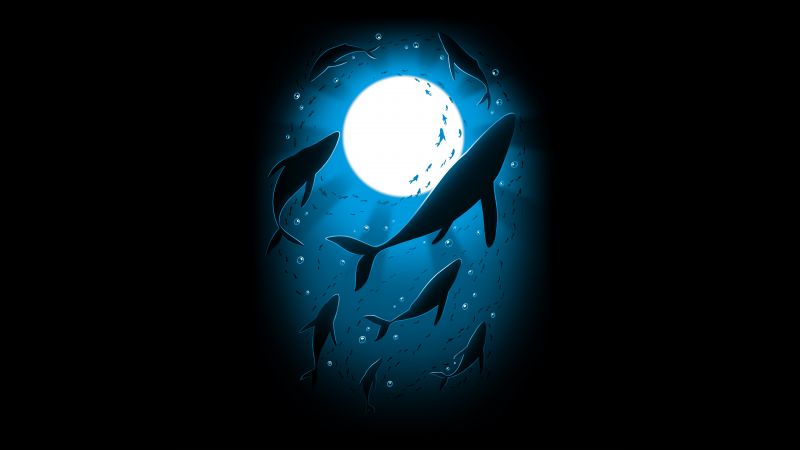Moonlight, Underwater, Swimming, Whales, 8K, Black background, Night, 5K, Water bubbles, Wallpaper