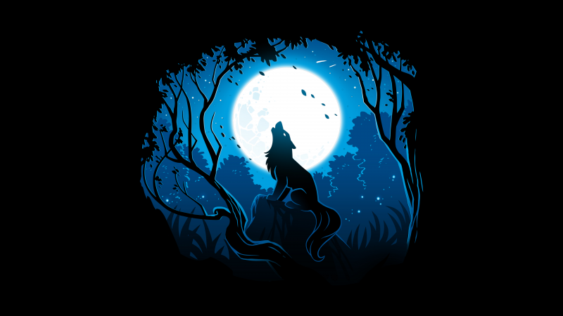 Howling wolf, Moon, Forest, Silhouette, Black background, 5K, 8K, Wallpaper