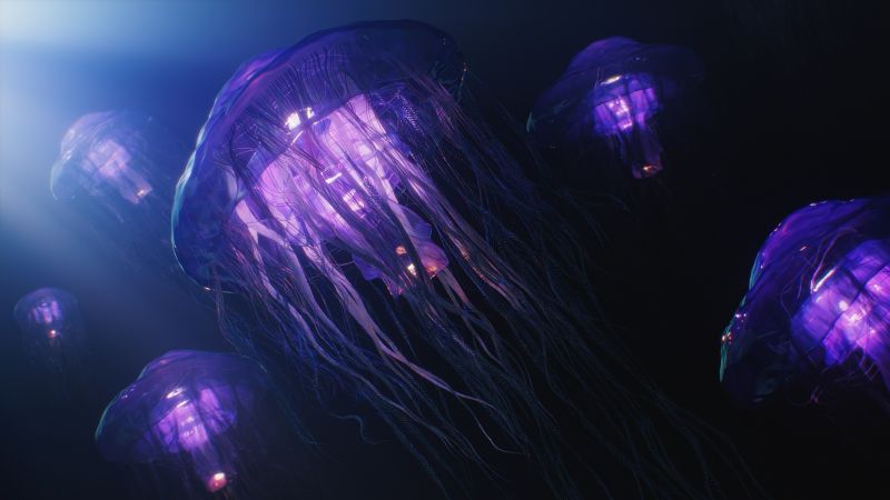 Jellyfishes, Aesthetic, Underwater, CGI, Wallpaper
