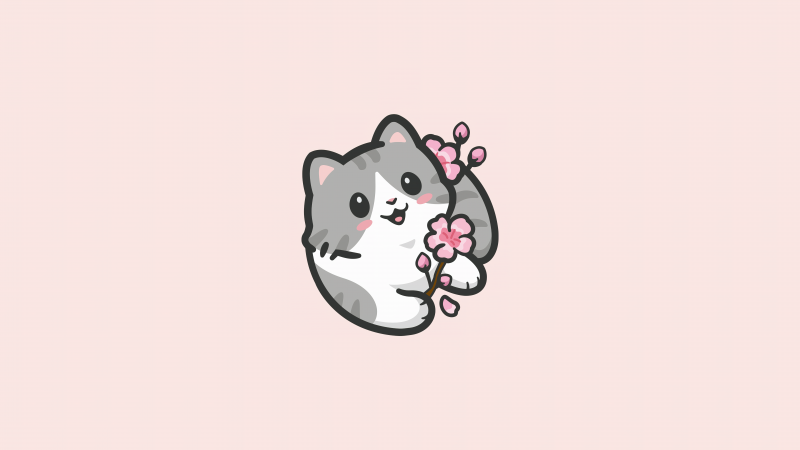 adorable aesthetic cat wallpaper and pfp idea cute 4k hd