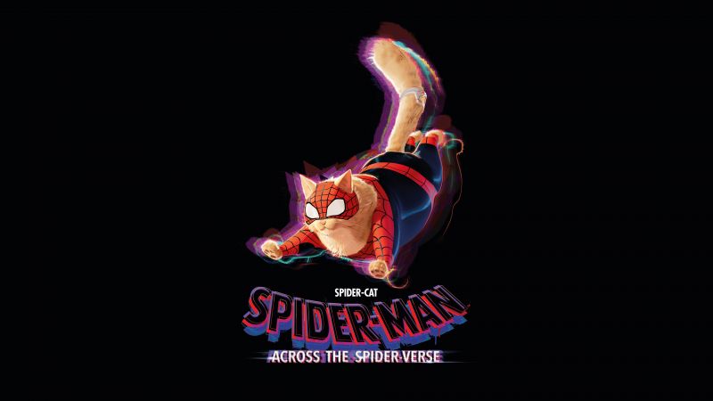 Spider-Cat, Spider-Man: Across the Spider-Verse, 5K, 8K, Black background, Wallpaper