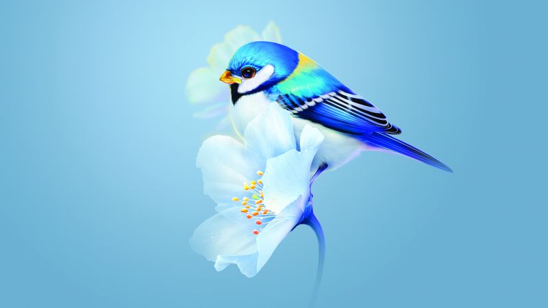Cute bird, Blue flower, Blue background, Huawei Mate X3, Stock, Wallpaper