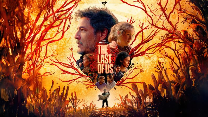 The Last of Us, HBO series, Wallpaper