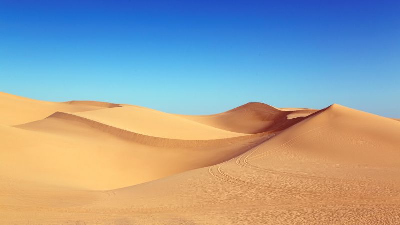 Desert, Sand Dunes, Clear sky, Blue Sky, 5K, Wallpaper
