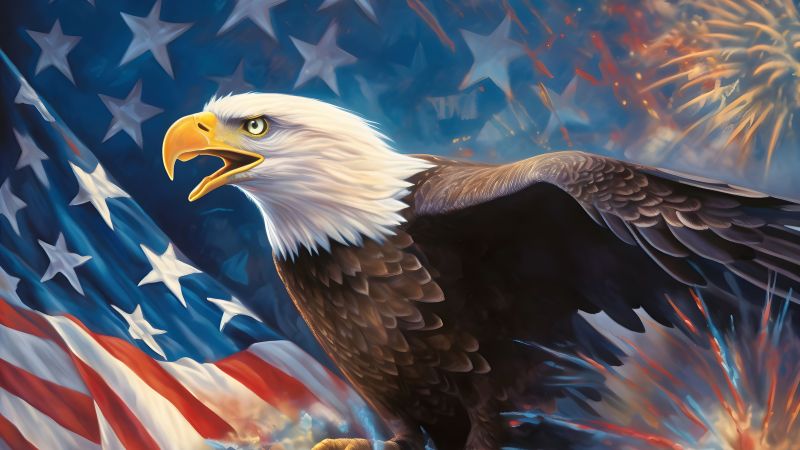 Bald eagle, Independence Day, 4th of July, USA Flag background, Wallpaper