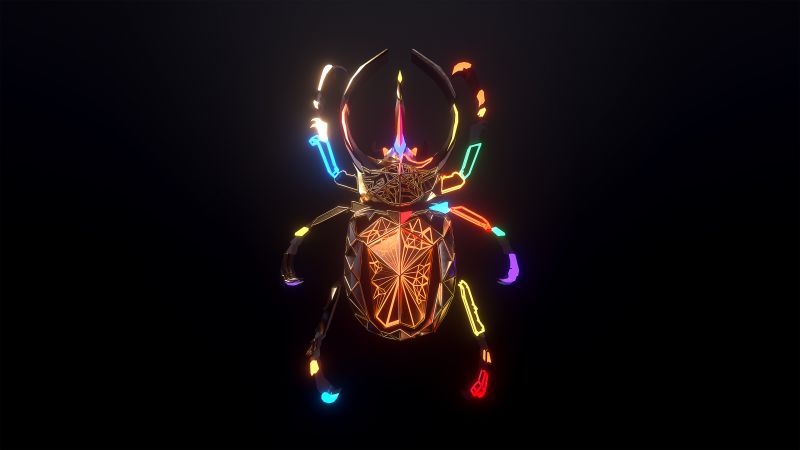 Colorful, Beetle, Glowing, Dark background, Neon, Wallpaper