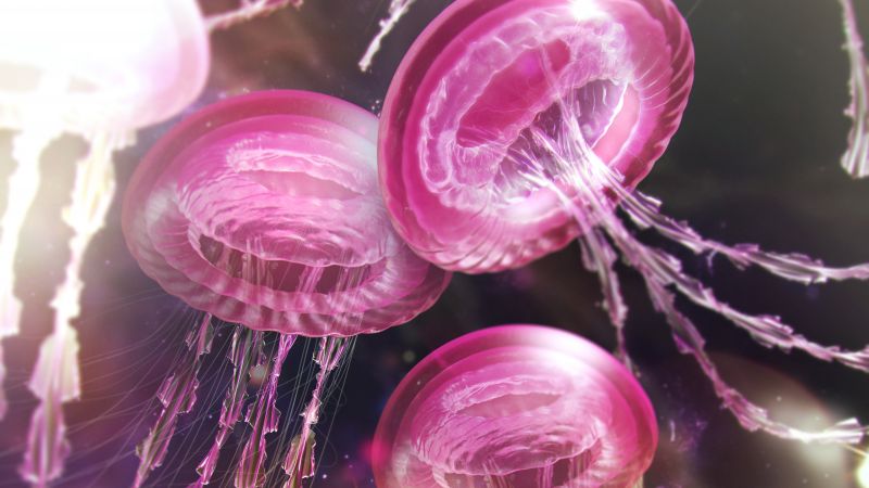 Jellyfishes, Pink aesthetic, Surreal, 5K, Wallpaper