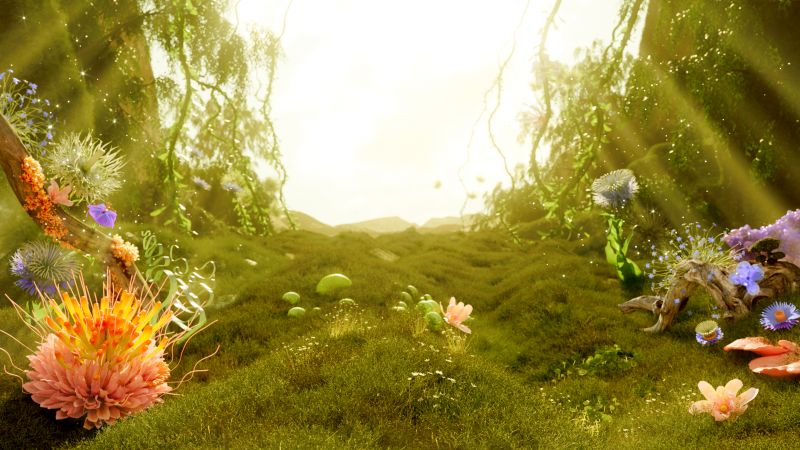 Mystical Forest, Sunlight, Serenity, Lush green field, Outdoor, Floral, Wallpaper
