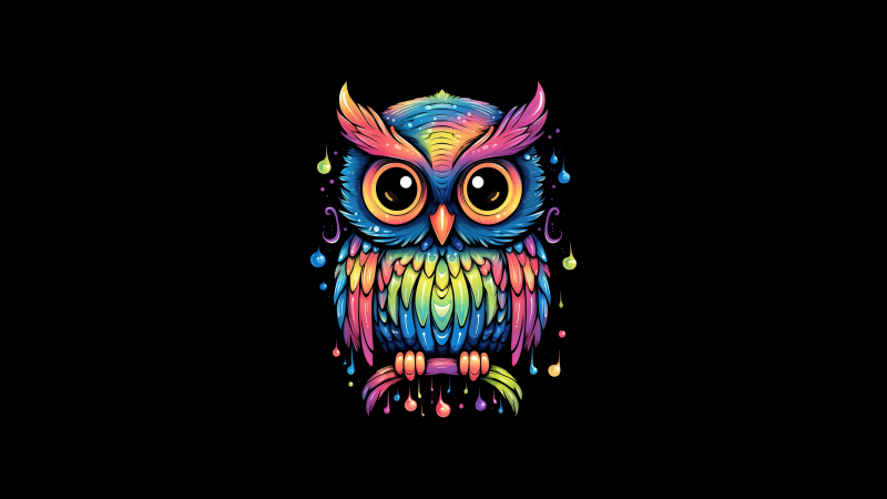 Colorful Owl, Cute art, AMOLED, 8K, Cute bird, Kawaii, Black background, Digital Art, 5K, Wallpaper