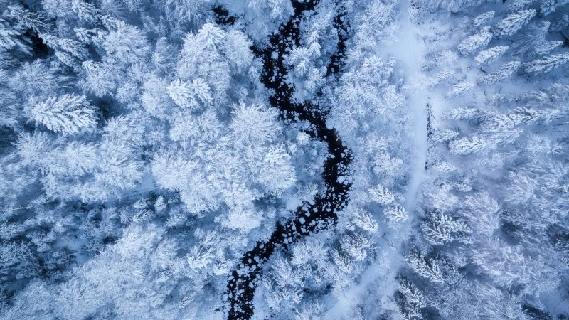 Winter forest, Aerial view, Snow covered, Water Stream, White aesthetic, Cold, Wallpaper