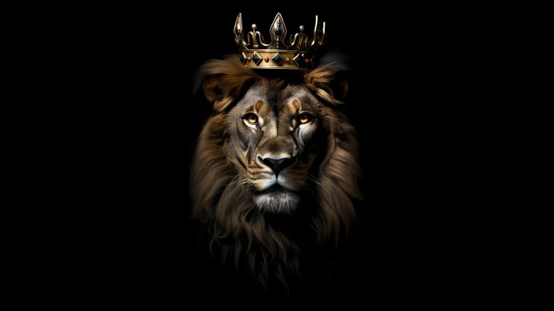 Lion, Crown, Dark aesthetic, AMOLED, Black background, 5K, 8K, CGI, Wallpaper