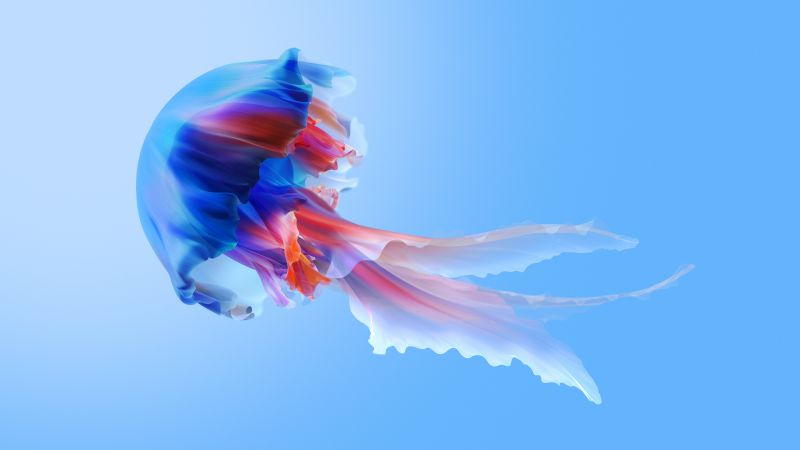 Jellyfish, Blue aesthetic, Xiaomi TV, Stock, Colorful, Wallpaper