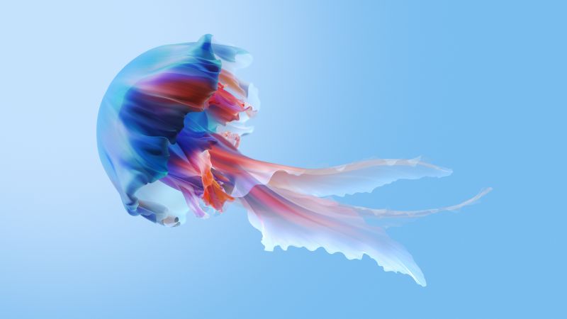 Jellyfish, Xiaomi TV, Stock, Aesthetic, Colorful, Blue background, Wallpaper