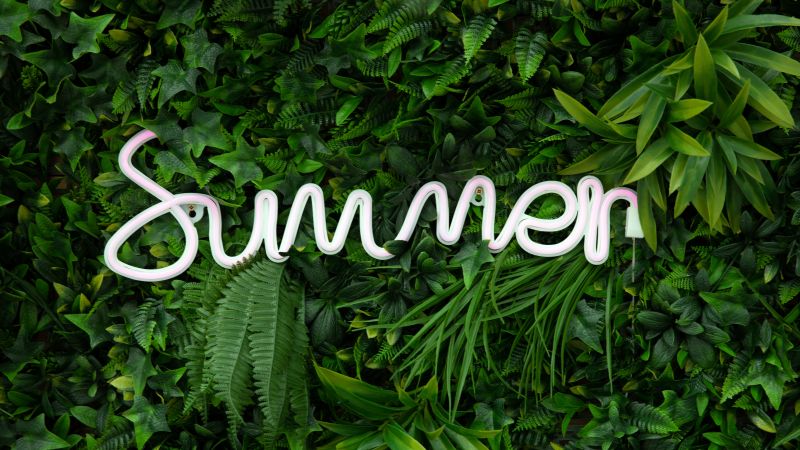Summer, Neon sign, Green aesthetic, Plants, Ferns, 5K, Wallpaper