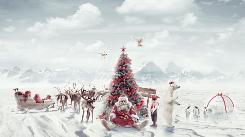Santa Claus, Christmas tree, Penguins, Aesthetic Christmas, Winter Mountains, Reindeer Chariot, Wallpaper