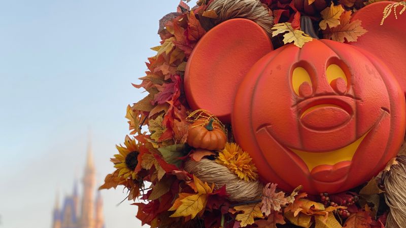 Mickey Mouse, Pumpkin, Thanksgiving, Disney World, Autumn leaves, Fall, Wallpaper