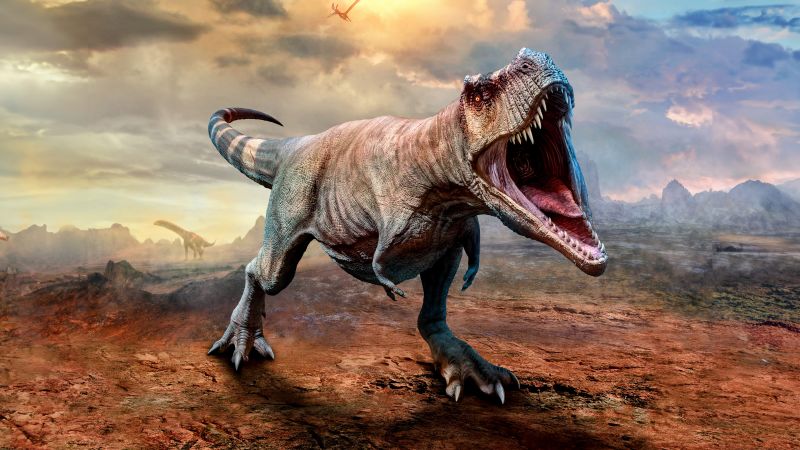 Tyrannosaurus, Dinosaur, T Rex, 5K, 8K, Wallpaper