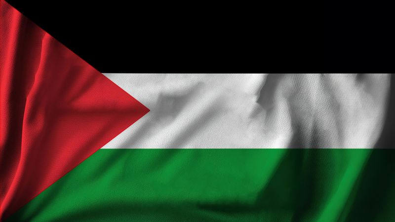 Flag of Palestine, 5K, Wallpaper