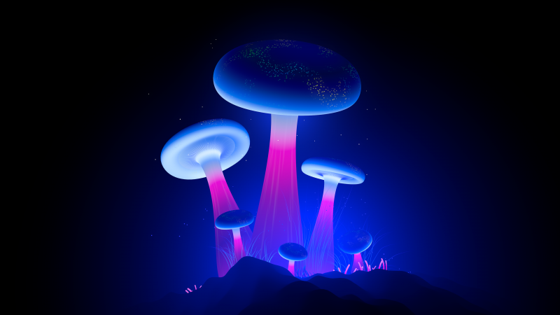 Glowing, Mushrooms, Digital Art, Vibrant, Blue aesthetic, Wallpaper