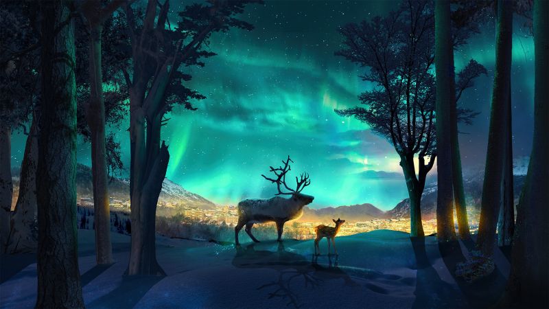 Illuminated, Aurora Borealis, Reindeer, Aurora sky, Cold night, Forest, Surreal, Wallpaper