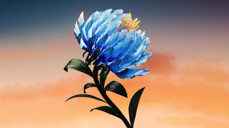 Blue flower, Digital Art, Blossom, 5K, 8K, Digital flower, Wallpaper
