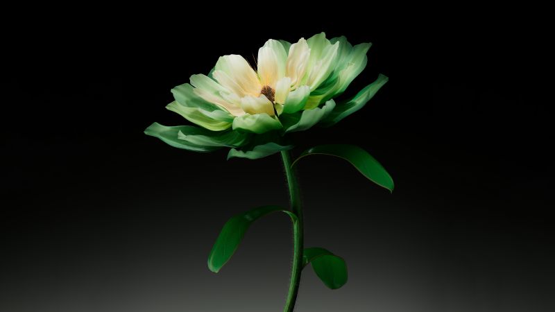 Green flower, Dark background, AI art, 5K, 8K, Digital flower, Wallpaper