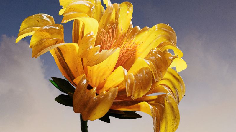 Vibrant, Yellow flower, Macro, AI art, 5K, Digital flower, Wallpaper