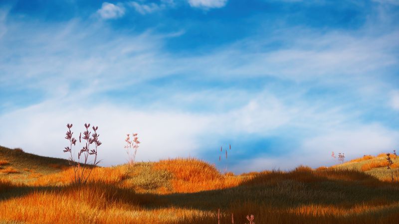 Grass field, Serene, Landscape, Blue Sky, 5K, Clouds, Wallpaper
