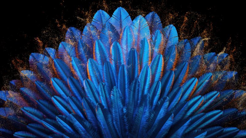 Peacock feathers, Blue aesthetic, Vibrant, Blue abstract, 5K, Oppo Find N, Stock, Elegant, Pattern, Wallpaper