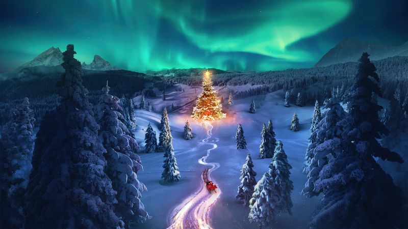 Christmas tree, Aurora sky, Snowy Trees, Aesthetic Christmas, Santa Claus chariot, Photorealistic, Winter Road, Wallpaper