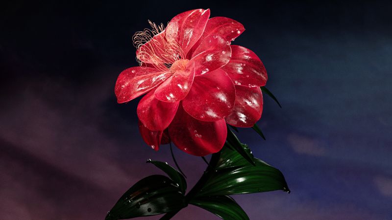 Red flower, Bloom, AI art, Elegant, 5K, Wallpaper