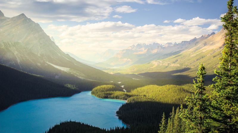 Banff National Park, Peyto Lake, Canadian Rockies, Mountains, Forest, Daylight, Sunny day, Summer, Canada, Aesthetic, Wallpaper