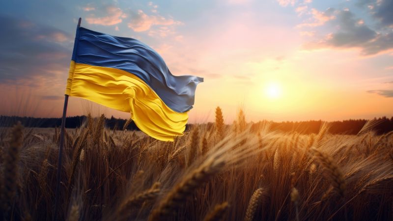 Flag of Ukraine, 5K, National flag, Landscape, Wheat field, Wallpaper