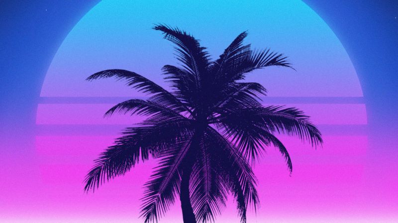 Vaporwave, Palm tree, Sunset, Tropical, 5K, Aesthetic, Wallpaper