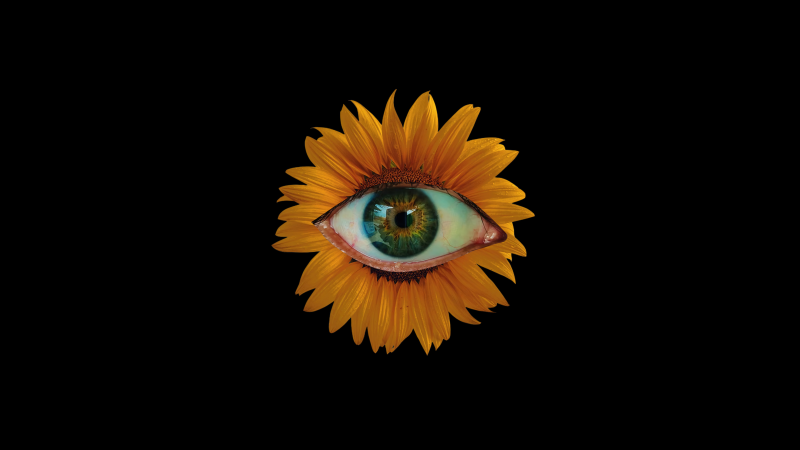 Sunflower, Weirdcore, Eye, Black background, 5K, AMOLED, Wallpaper