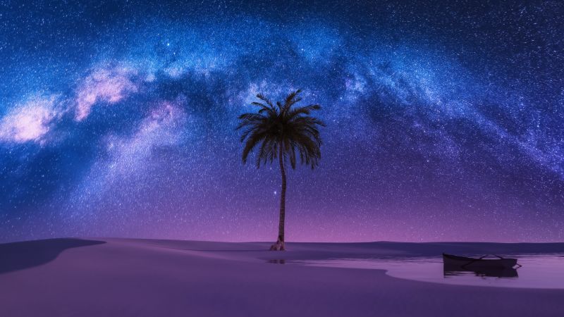 Milky Way, Nightscape, Palm tree, Surreal, Constellation, Stars in sky, Night time, Night sky, Boat, Woman, Wallpaper