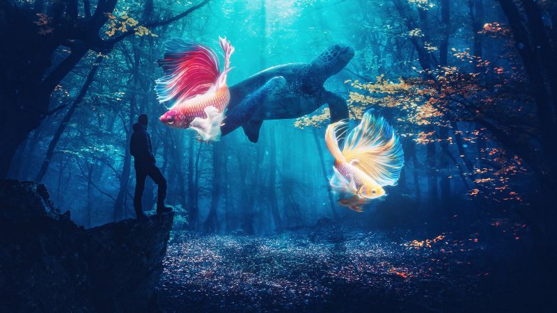 Autumn Forest, Dreamy, Fishes, Turtle, Dreamlike, Surrealism, 5K, Man, Underwater