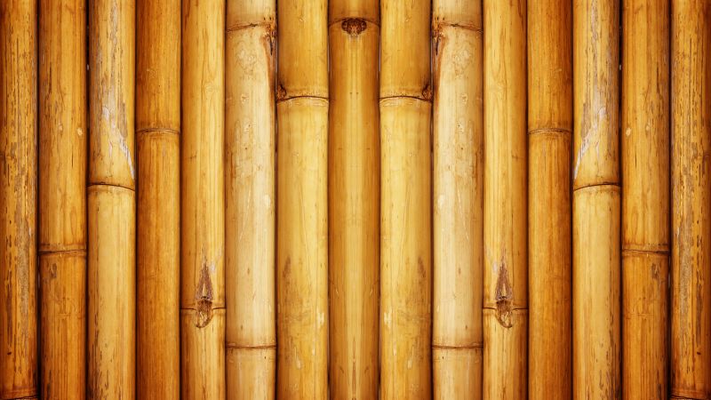 Bamboo, Wall, Pattern, 5K, Wallpaper