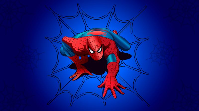 Spider-Man, Blue background, Marvel Superheroes, Wallpaper